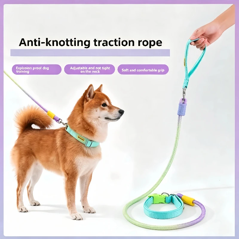Gradient P-Rope Dog Leash 1.2m Anti-Pull｜Wide Neck Pad｜10mm/12mm｜No Tangle｜All Breeds