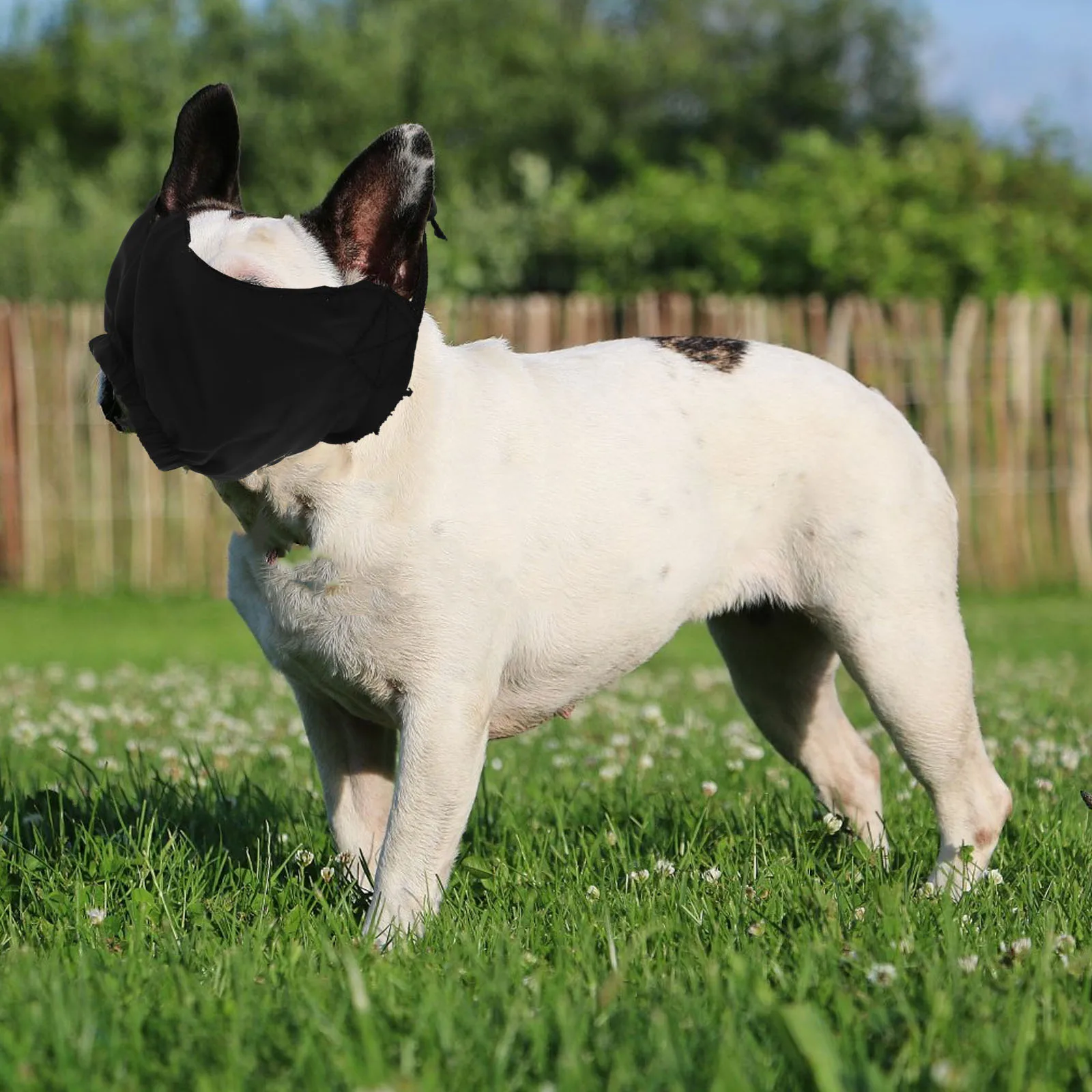 

Drowsy Eye Mask Pet Artifact Supplies Outdoor Patch Sleep Nylon Durable Blinder
