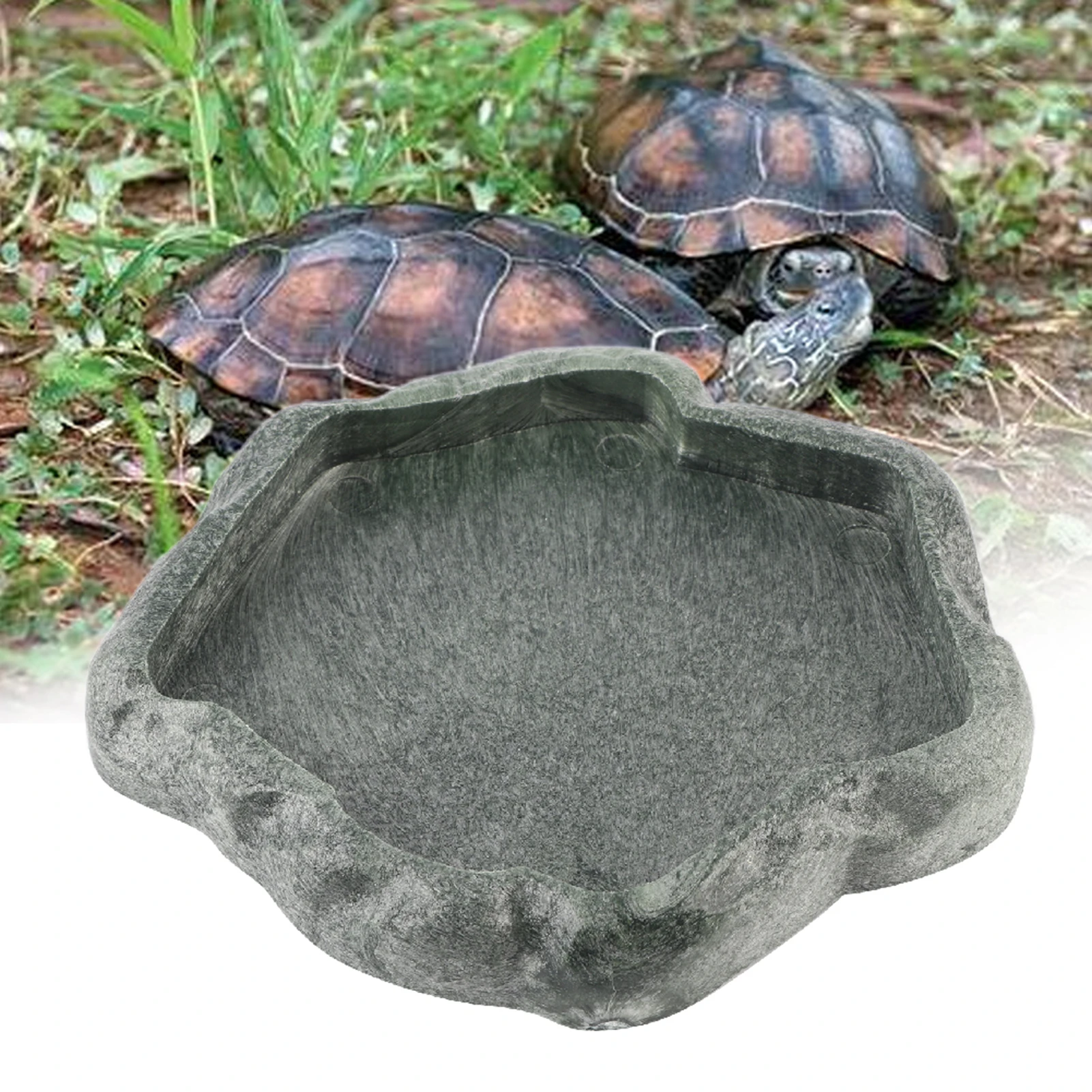 Cuenco alimentador para mascotas, cuenco de resina no tóxico, para agua, para reptiles, tortugas, escorpiones, lagarto, cangrejo