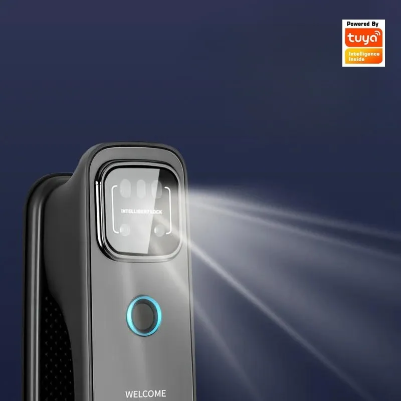 3D Facial Recognition Palm Vein Visual Lock Password Anti Theft Door Fingerprint Lock Mobile Phone Networking Intelligent
