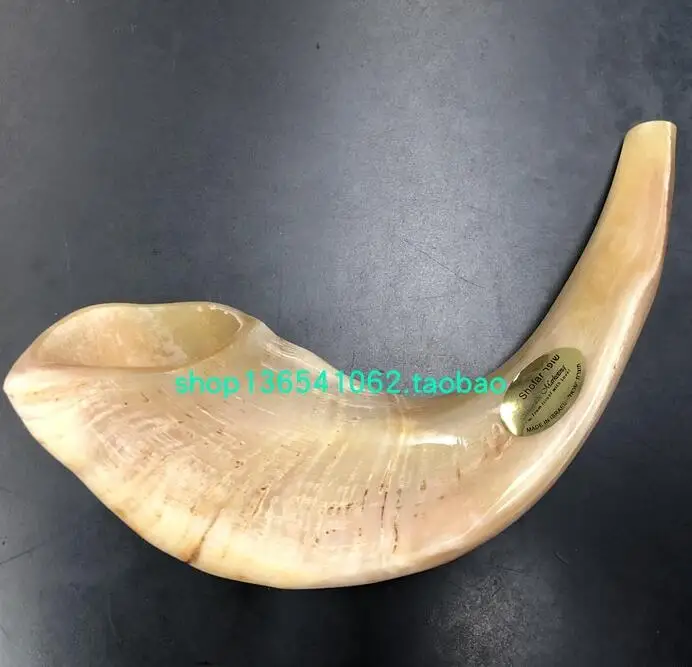 

Tradition Mishaan Marketing Shofar 38CM Israel Original style Rough Rams Tradition Judaism