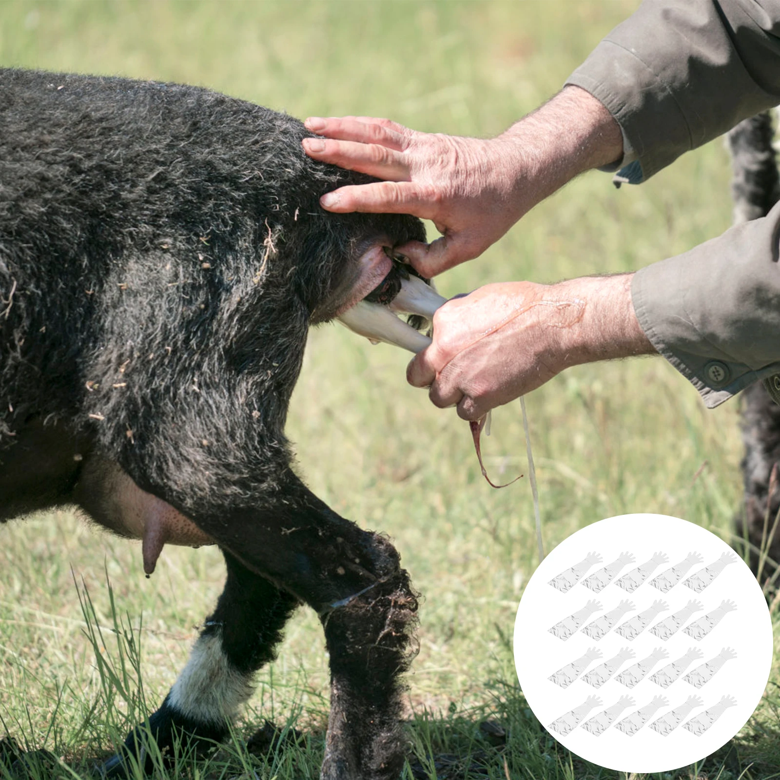 

50pcs Disposable Long Arm Livestock Delivering Protection Gloves For Cattle Sheep Pig Five Finger Safe Sanitary Gloves