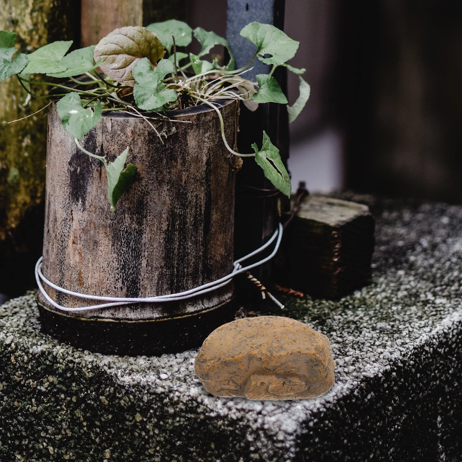 樹脂製の偽の石の鍵箱,予備の手作りの岩,庭,屋外