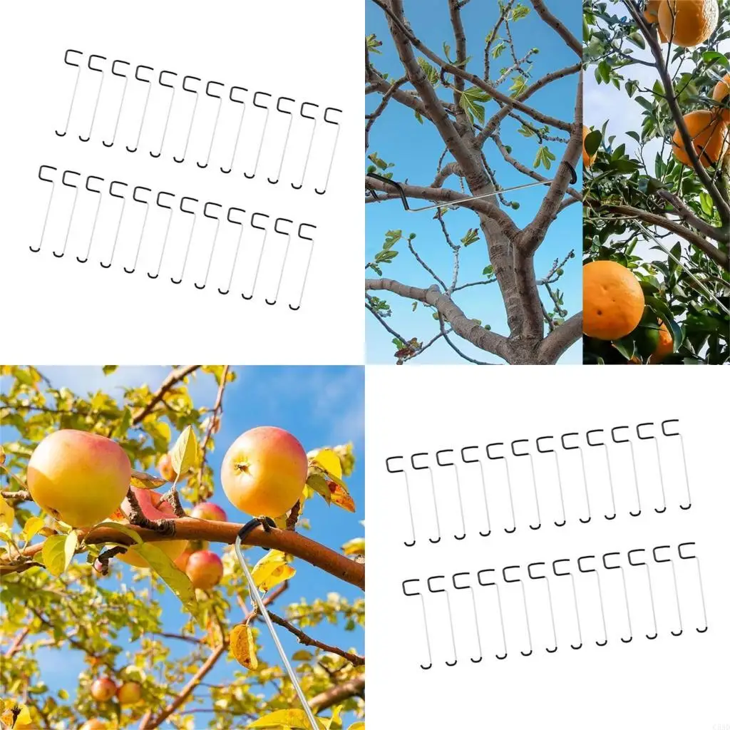 

Multifunctional Garden Branch Shaper Prevents Bark Damage Promotes Abundant Crop C5AD