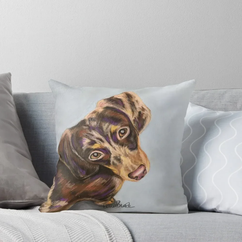 Chocolate Dapple Dachshund Throw Pillow Sofa Covers Decorative Cushion Cover pillow