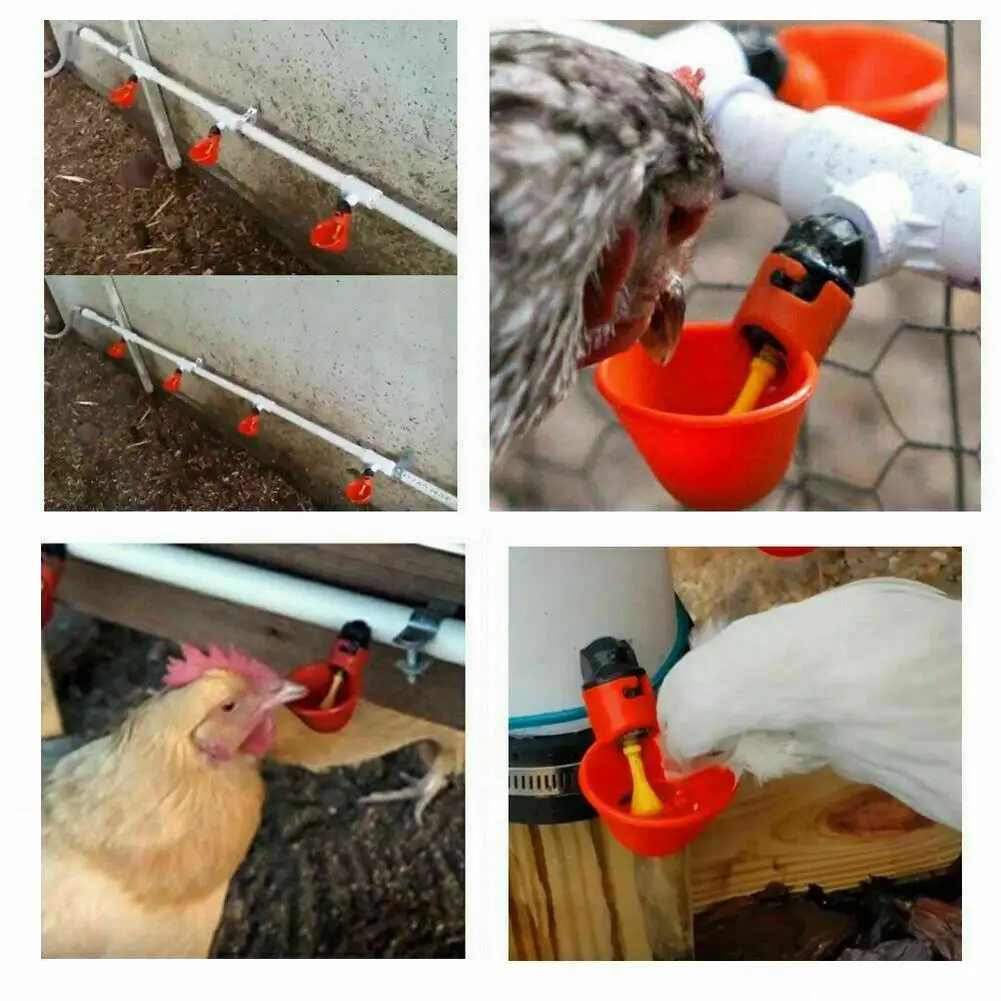 

10pcs Plastic Bird Feeders Pet Automatic Cups Water Feeder Drinker Chicken Waterer Poultry Chook Bird Wildlife Accessories