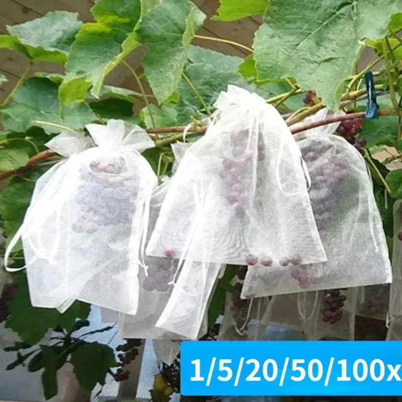 Grapes Fruit Protection Bags, Strawberry Vegetable Plant Pest Control Anti-Bird Netting Bags,Agricultural Tree Garden Tool Bags