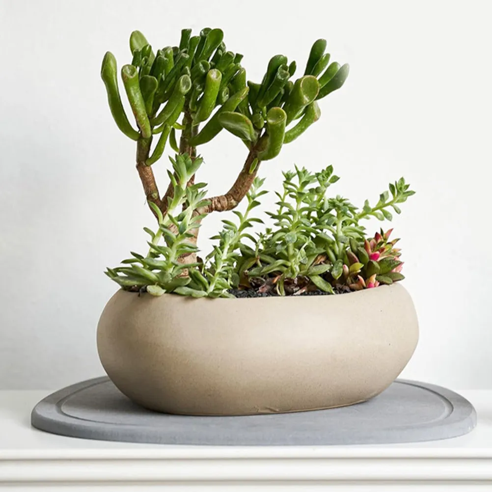 2Pcs Plant Saucer Sets Diatom Mud Flowerpot Tray Pot Drip Catcher for Indoor Outdoor Plants Soil Overflow Proof