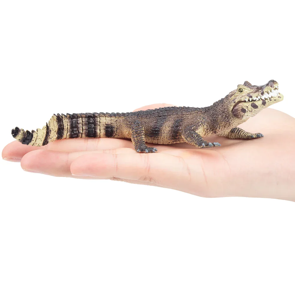 Toymany Simulatie Zwarte Kaiman Reptiel Diermodel Speelgoed Mini Figuren Poppen Actie Beeldjes Speelgoed Kinderen Gift Taart Decoratie