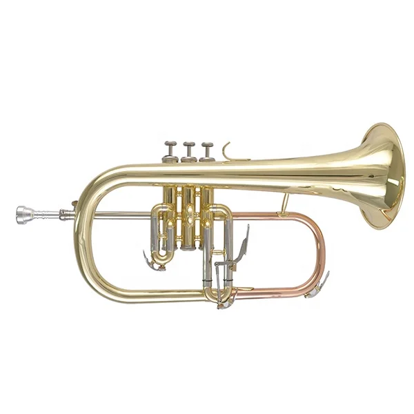 

Flugel Horn brass instrument