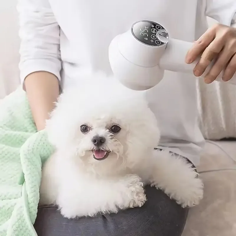 

2-in-1 Intelligent Pet Hair Dryer Comb One-Button Low Noise With Adjustable Temperature for Cat and Dog Grooming
