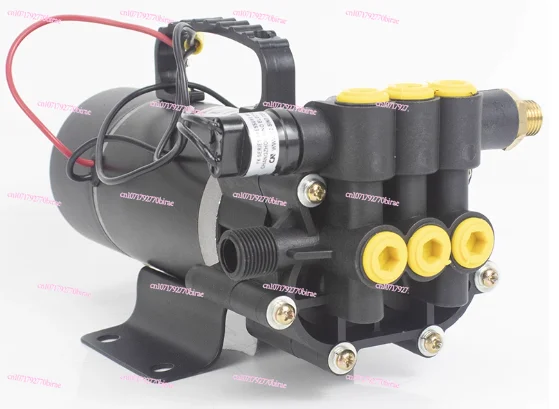 

12V 48V 60V Pesticide High Pressure High Power Three-cylinder Pump, Portable Type