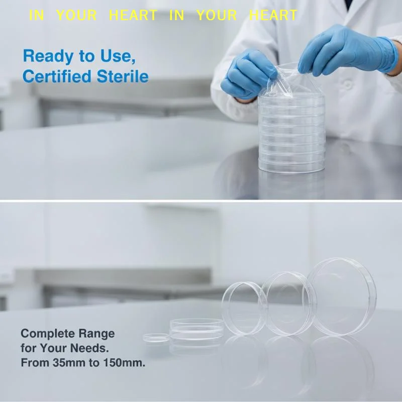 【X】Round Transparent Plastic Petri Dishes 10Pcs 35/60/75/90mm Cell Culture Dishes for Student Biology Class Experiments