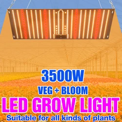 3500W Led Grow Light Phyto Lamp For Plants Bulb Full Spectrum Quantum Board Hydroponics Greenhouse Flowers Seeds Growth Lamp