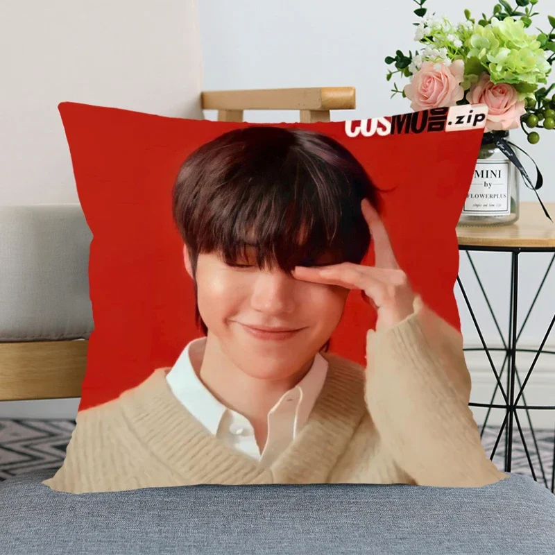 KPOP Hwang In Yeop Pillow Case True Beauty For Home Decorative Pillows Cover Invisible Zippered Throw PillowCases 45X45cm