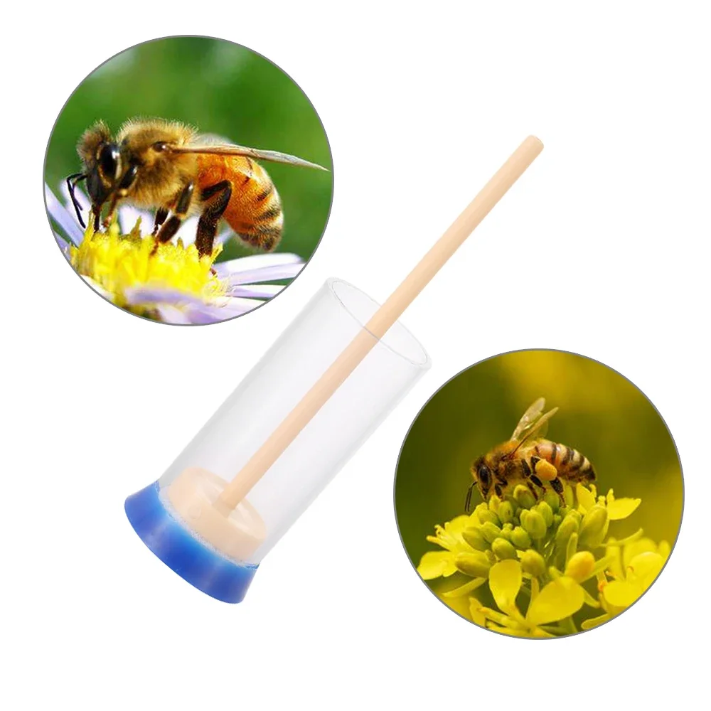 2 Stuks Queen Bee Marker Fles Plunger Pluche Geen-Pijn Insect Bee Catcher Plastic Queen Bee Markering Fles bijenteelt Tuingereedschap