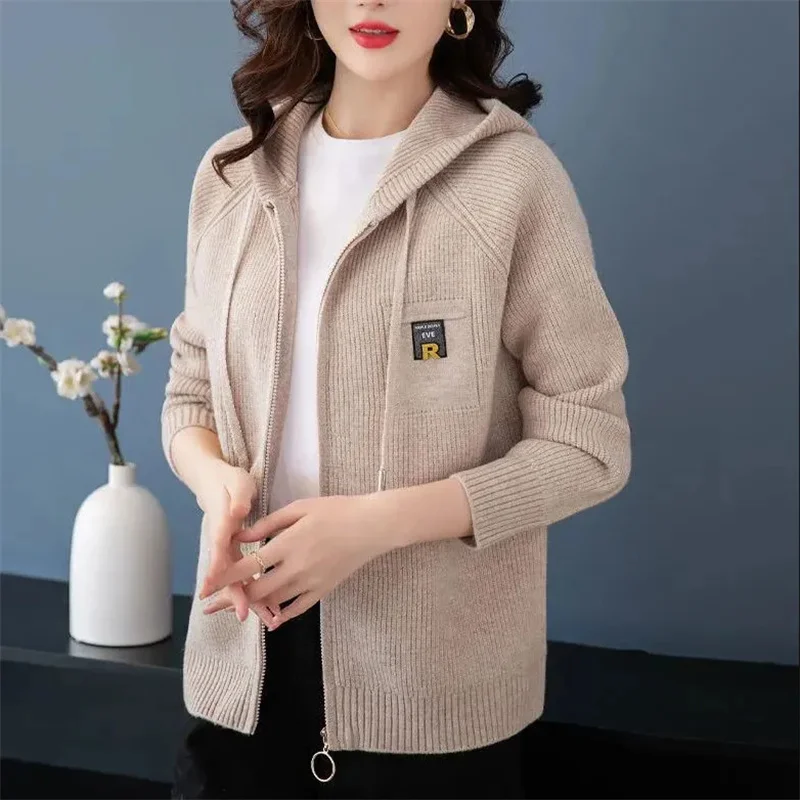 Fall/Winter New Knitted Cardigan Coat Women Hooded Thick Sweater Jacket Fashion Wool Knitting Outerwear High Quality Joker Top