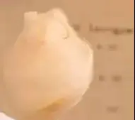 diy綿菓子製造機-自動ミニ電動綿菓子機-マキナ・アルゴダオ・ドーセ