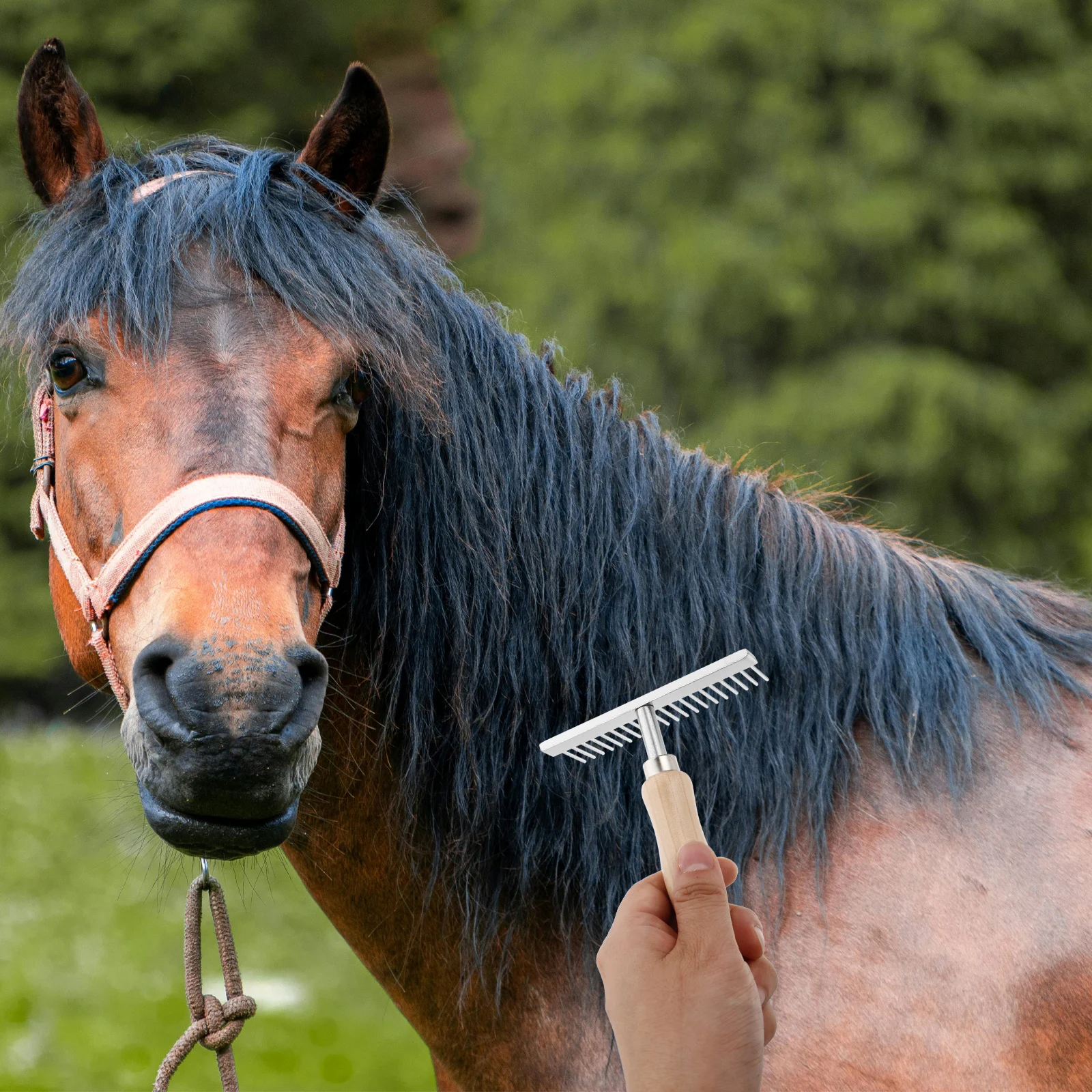 

Horse Grooming Brush Metal Wood Handle Dematting Comb For Dogs Cows Donkeys Undercoat Rake Scrubber Stainless Steel Pet