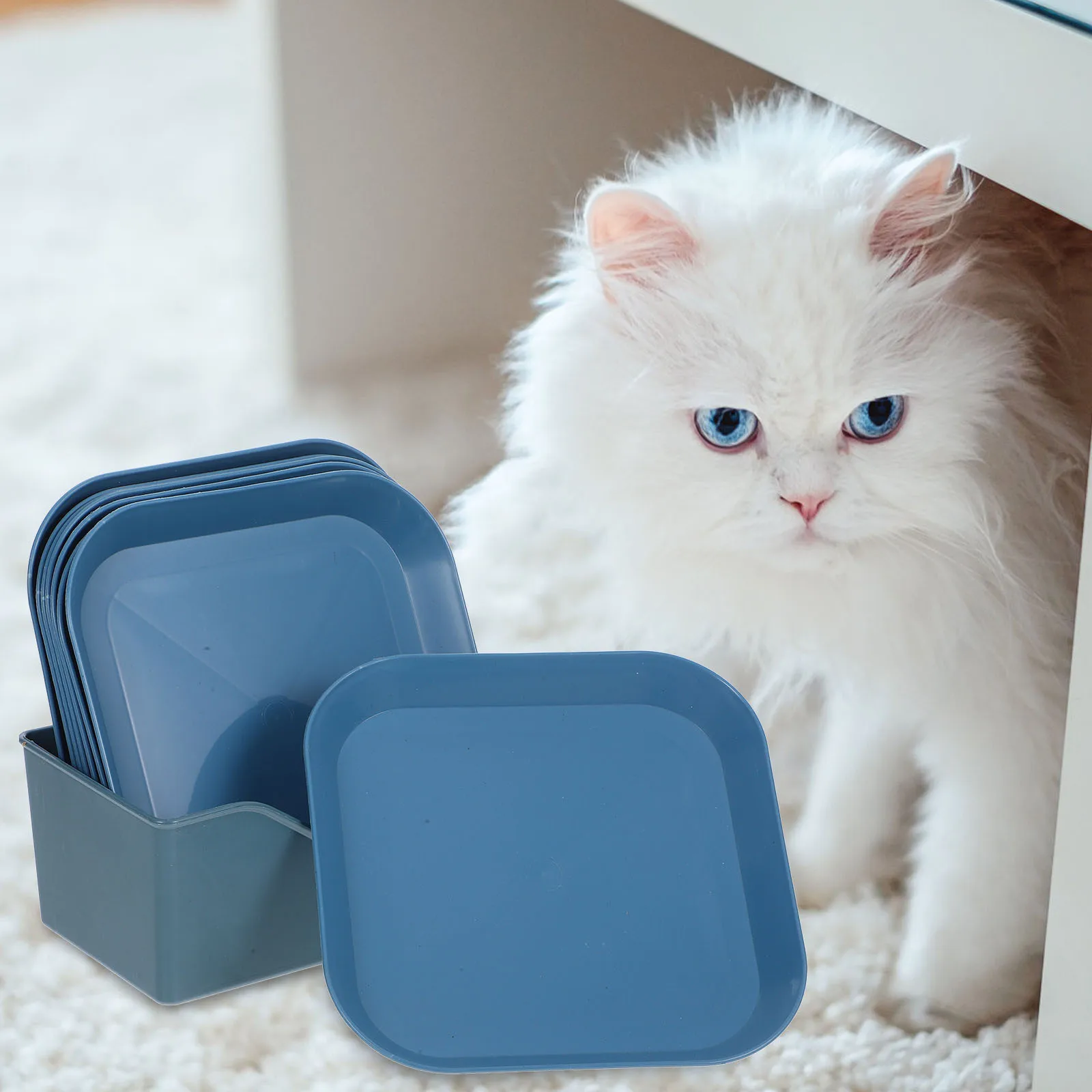 

1Set Cat Feeding Bowl Durable PP Material Stable Design Non Tip Over for Indoor Cats and Small Animals Cat Bowls for Indoor Cats