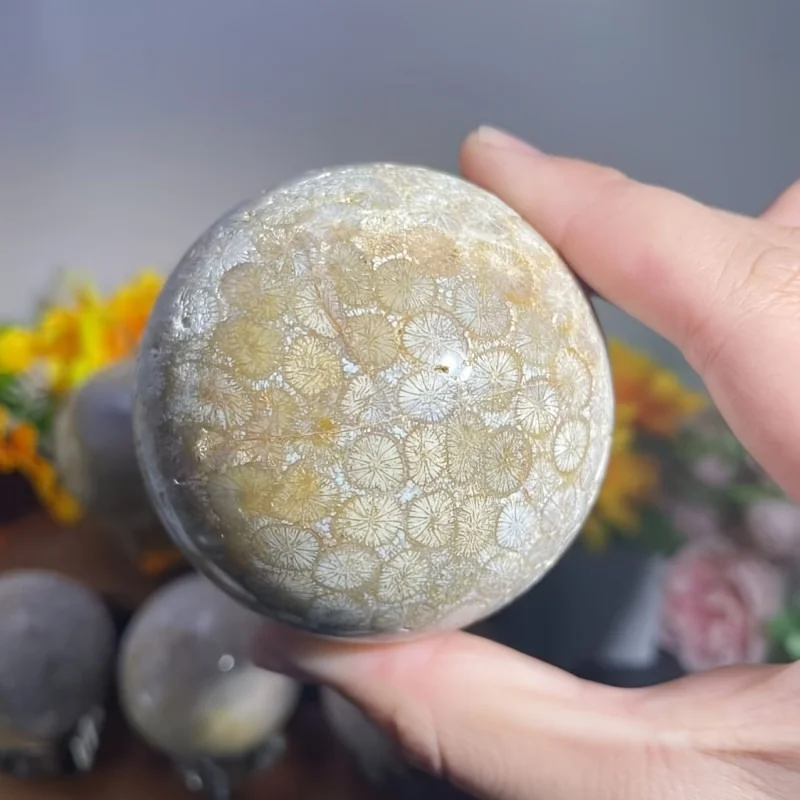

1pc Coral Jasper Ball, Unique Crystal Craft with Natural Holes, Perfect Gift for Family & Friends, Easter, Christmas, Halloween