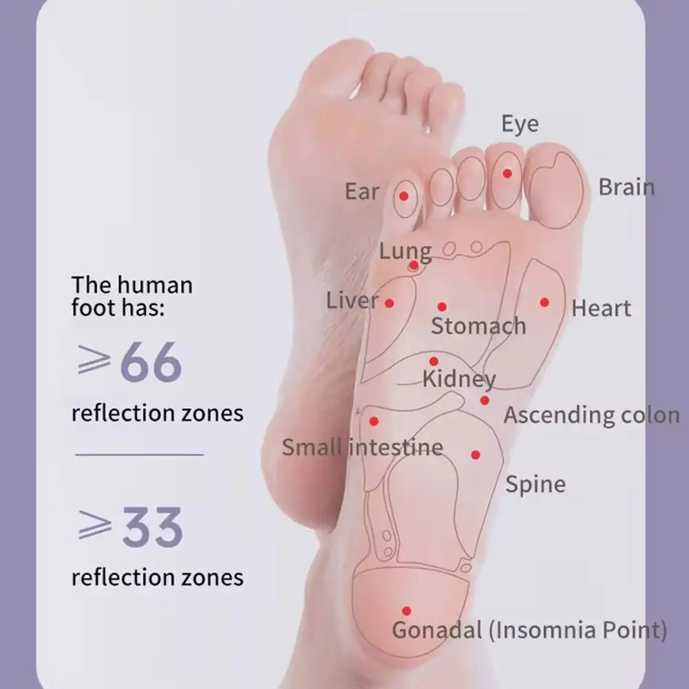 

Многоточечный роликовый массажер для ног фиолетового цвета с магнитными бусинами, глубокая терапия, растирание для релаксации, ухода за ногами ‌