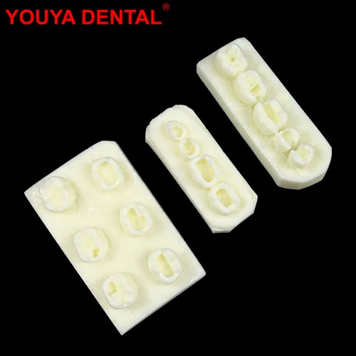 Modelo de práctica de implante de odontología, modelo de relleno Dental, modelo de dientes de implante para entrenamiento, enseñanza, estudio, demostración educativa