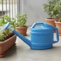 Blue 2L