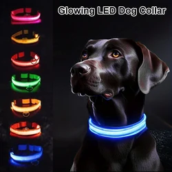 Dog Collar Nylon LED Night Safety Flashing Glow In The Dark Pet Dog Leash pet Dogs Luminous Fluorescent collar dog accessories