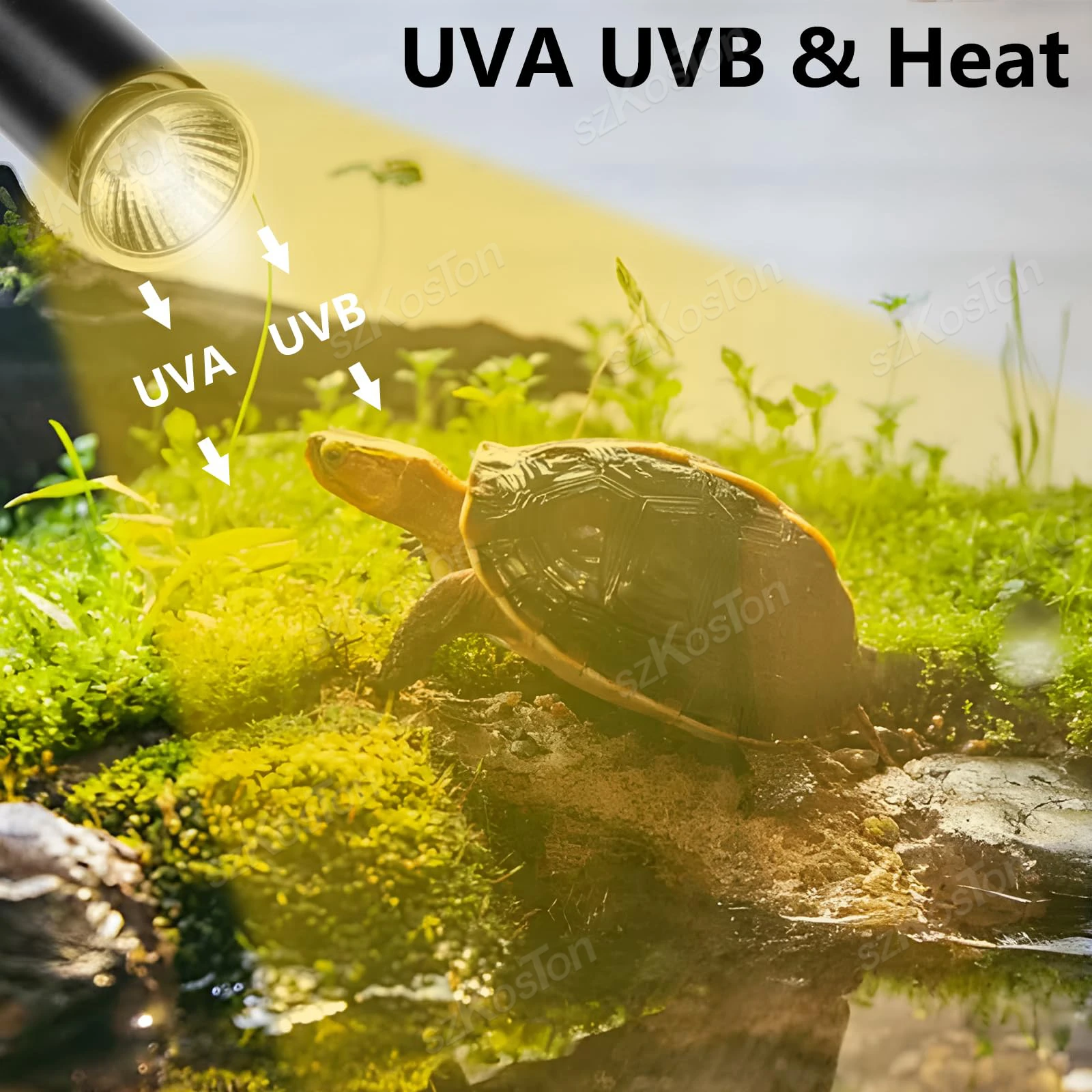 Thumbnail 2 - #14 Cheap Reptile Heat Lamps Worth Buying