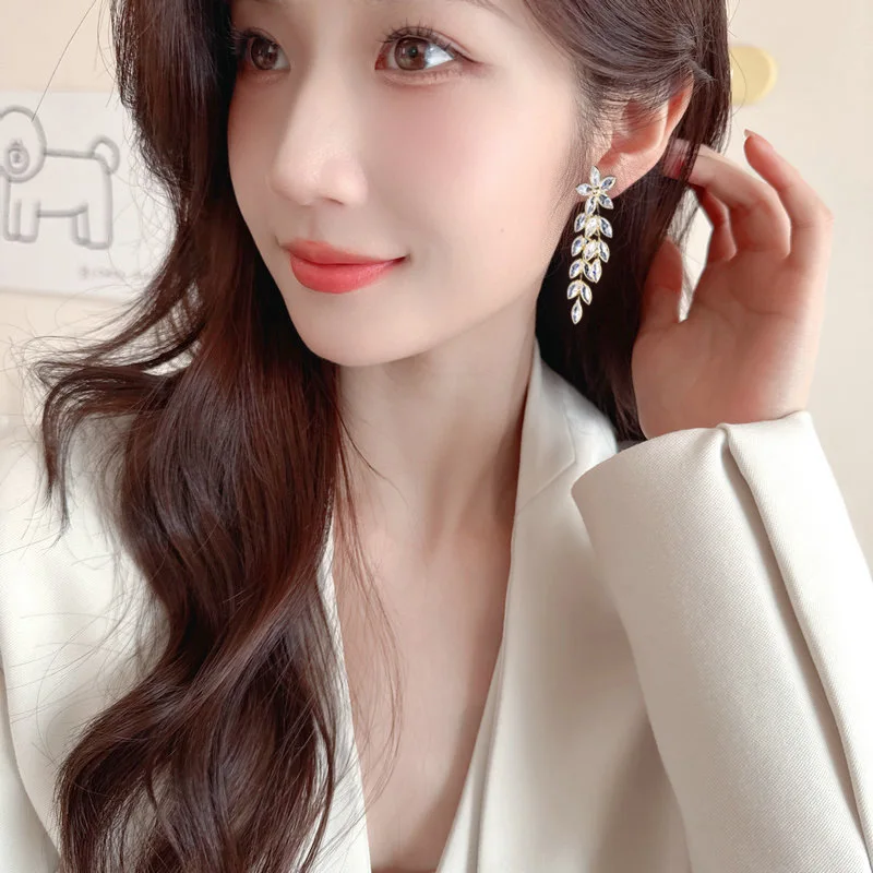 orecchini lunghi con nappa eaf s925, ago d'argento, zircone lussuoso e abbagliante, eleganti orecchini da sposa da donna