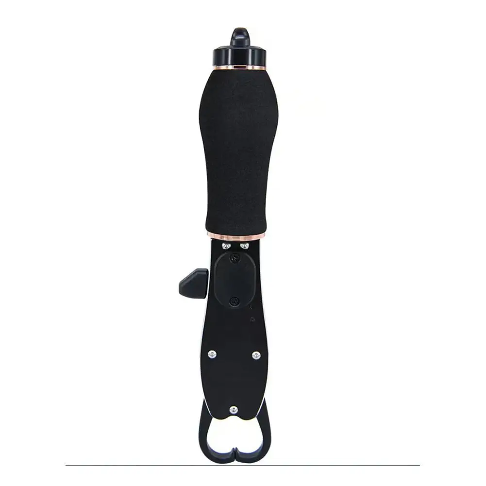 Scale with Built-in Fish Gripper Stainless Steel Multifunctional Portable High-precision Electronic Weighing Clamp for Fishing
