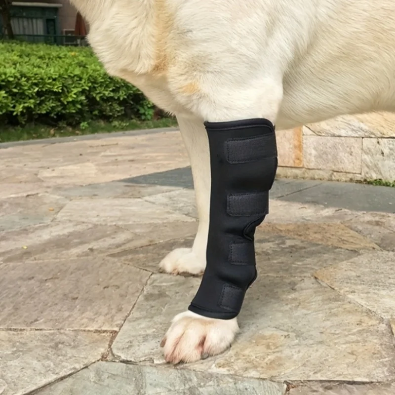 Dog Leg Fracture Fi…