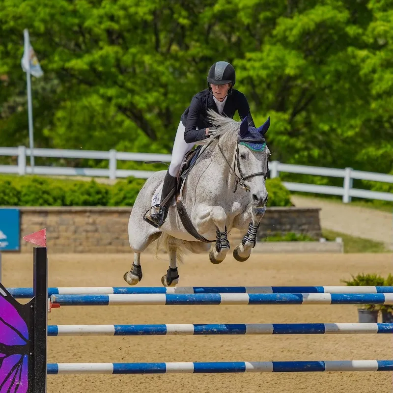 

Custom Logo Aluminum Horse Jump Stands for Racing and Training Durable Western Style Equestrian Horse Show Jumps