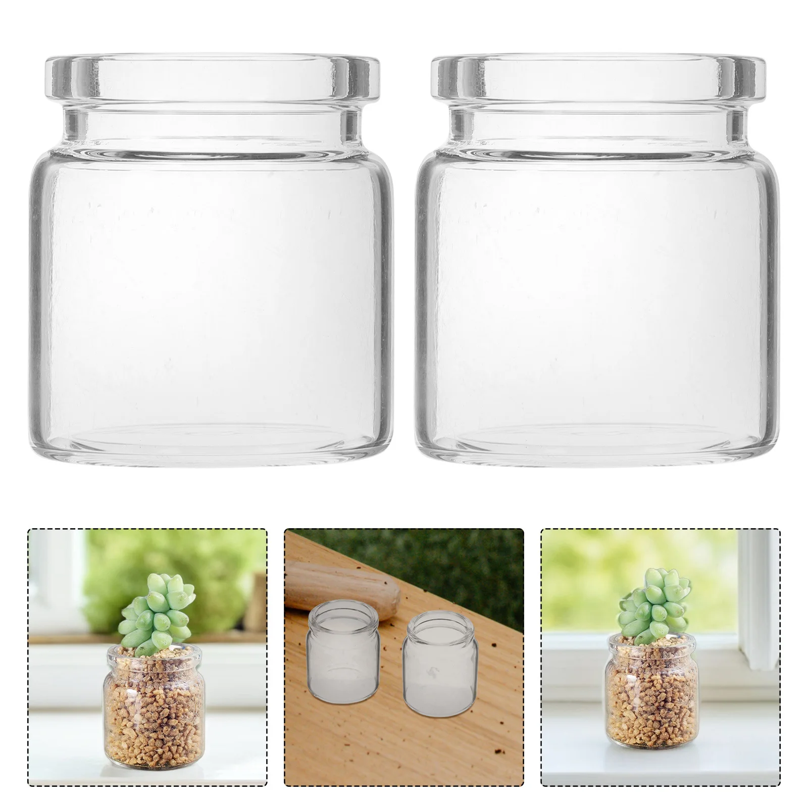 

10Pcs Transparent Glass Bottle Planter Mini Terrarium Vases for Succulents Moss Micro Landscape Office Desk Decor