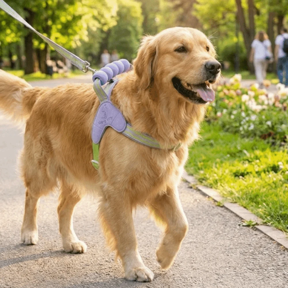 

Breathable Dog Harness Vest No-Pull Saddle-shaped Back Escape Proof Vest Comfortable with Handle Y-shaped Dog Harness Daily Walk