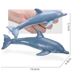 19cm Simulation Ocean Animal Toy Plastic Action PVC Dolphin Model Baby Figures Collection Doll Toy for children Educational toys