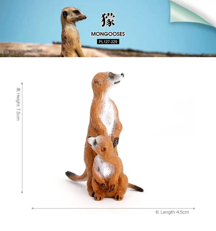 Cross-border simulation wildlife model standing meerkat marsh tanuki meerkat children cognitive static solid ornament toy