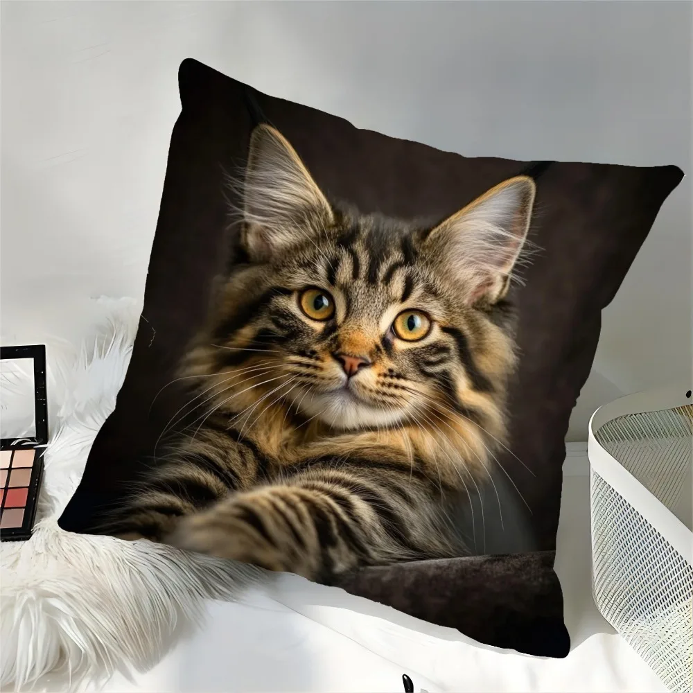 Charming Tabby Maine Coon Cat Design, Machine Washable with Decorative Pillowcase for Sofa, Living Room, Bedroom, Office 45x45CM