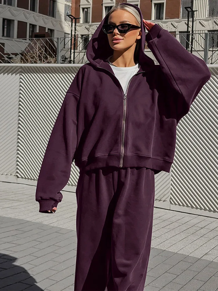 

Осенний офисный костюм для женщин: однотонный худи с капюшоном и свободные прямые широкие брюки на молнии с длинными рукавами