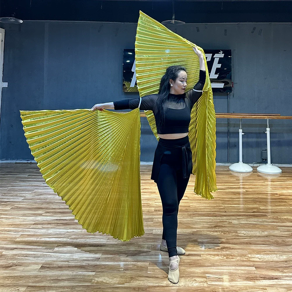 Women Belly Dance Props Praise Flags Gold Wings Arm Hanging Dance Costumes Accessory Performance Competition Flags (Set of 2)