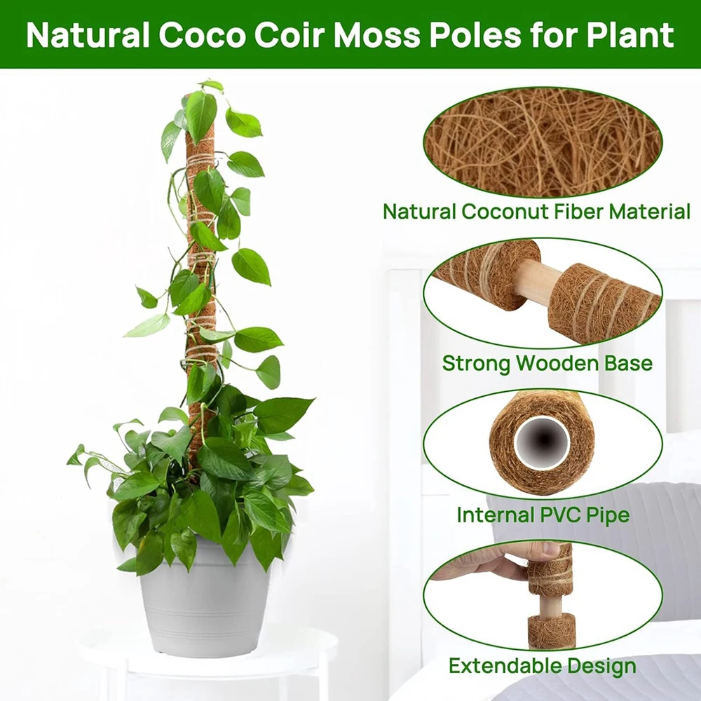 30cm/40cm/50cm Moss Totem kutup yosun kutup bitkiler için Monstera 2 adet yosun kutup tırmanma için kapalı saksı bitkileri