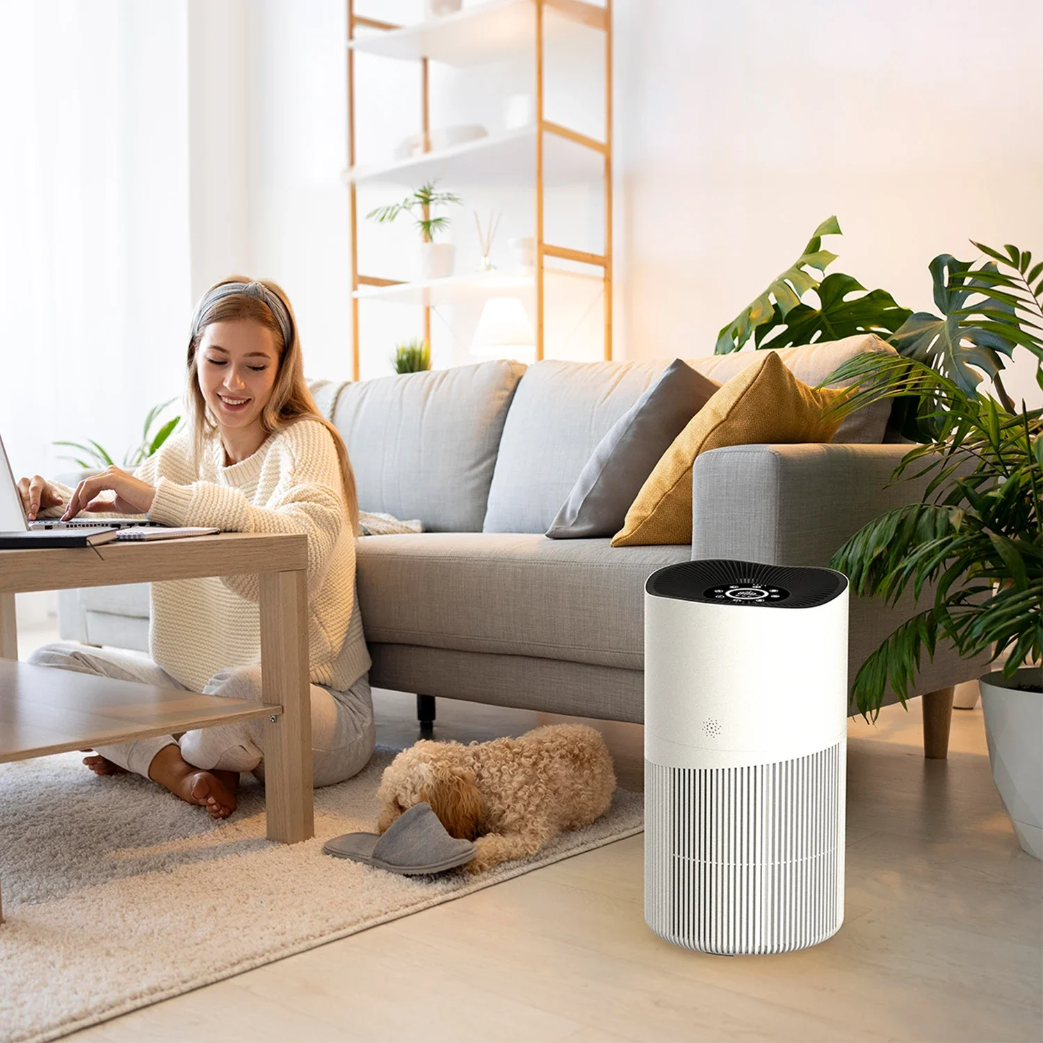 

pet smart household air purifier best room home pet smart portable hepa air purifier hepa filter home filters