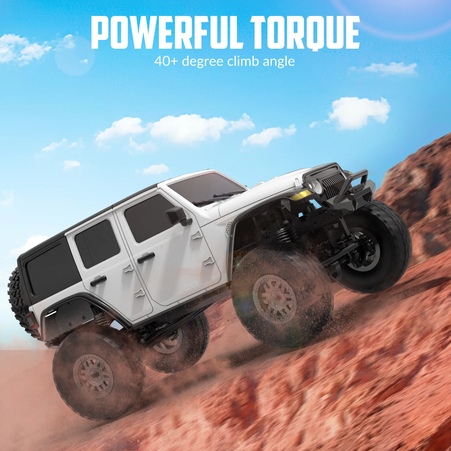 RACENT 1/24 Camion tout-terrai - Rc Hobby Pro avis et prix