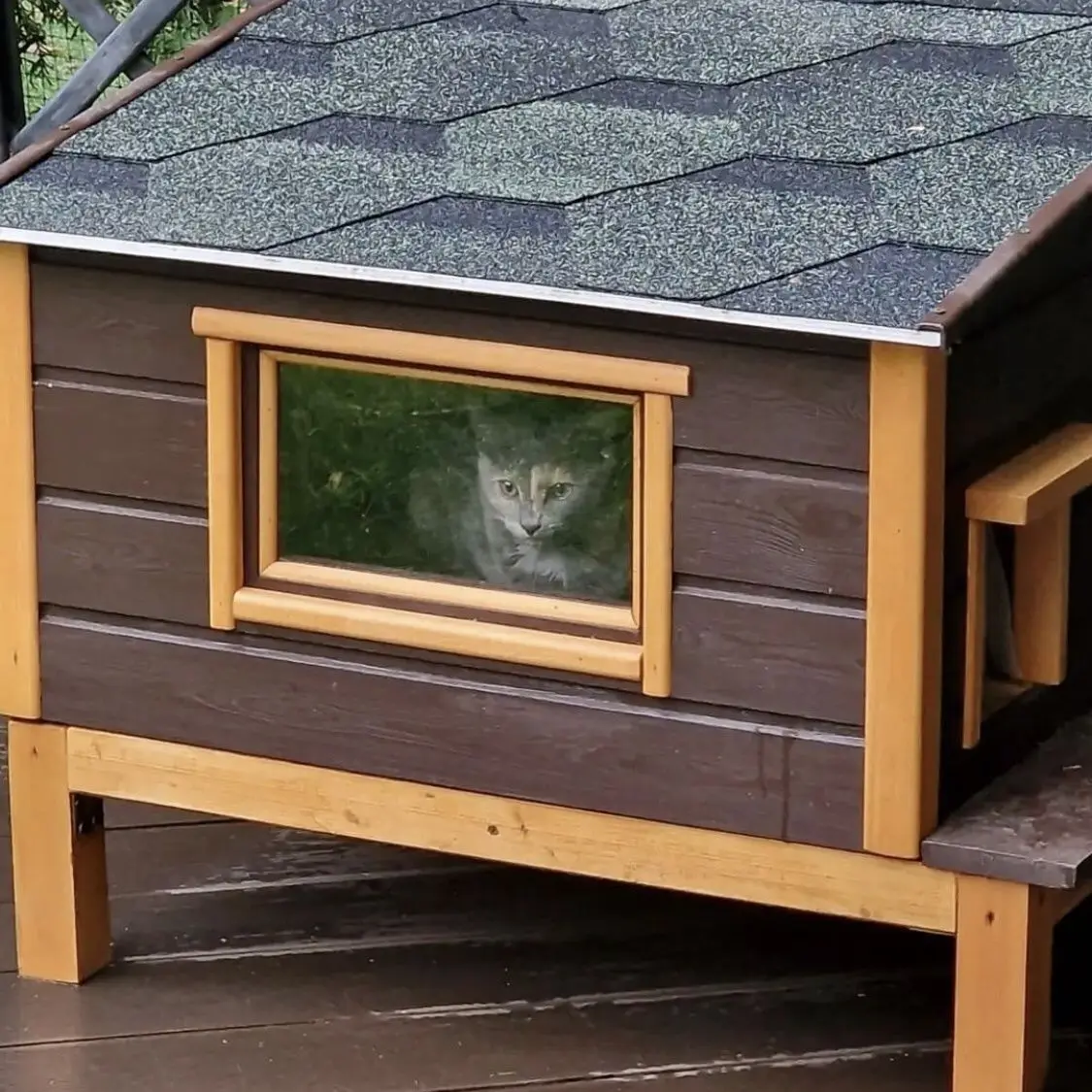 Cat villa cat room cat nest solid wood double-layer board warm with cotton insulation cold-proof waterproof rain-proof