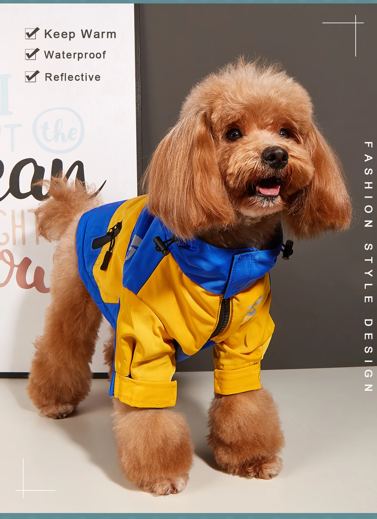 Wasserdichte Kleidung für große Hunde, Winter, warm, Haustier-Regenmantel für mittelgroße und große Hunde, modische coole Hundejacke, französische Bulldogge, Chihuahua-Outfit – Detail 8