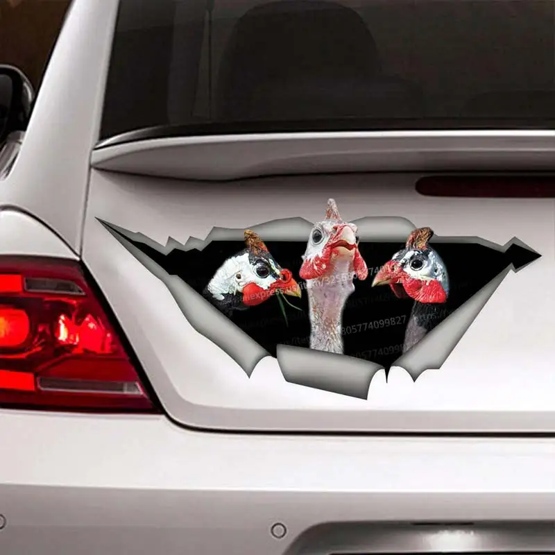 Domesticated guinea bird Car Waterproof Vinyl Decal on Bumper Rear Window Laptop Self-adhesive Decal For Car Accessories SH177