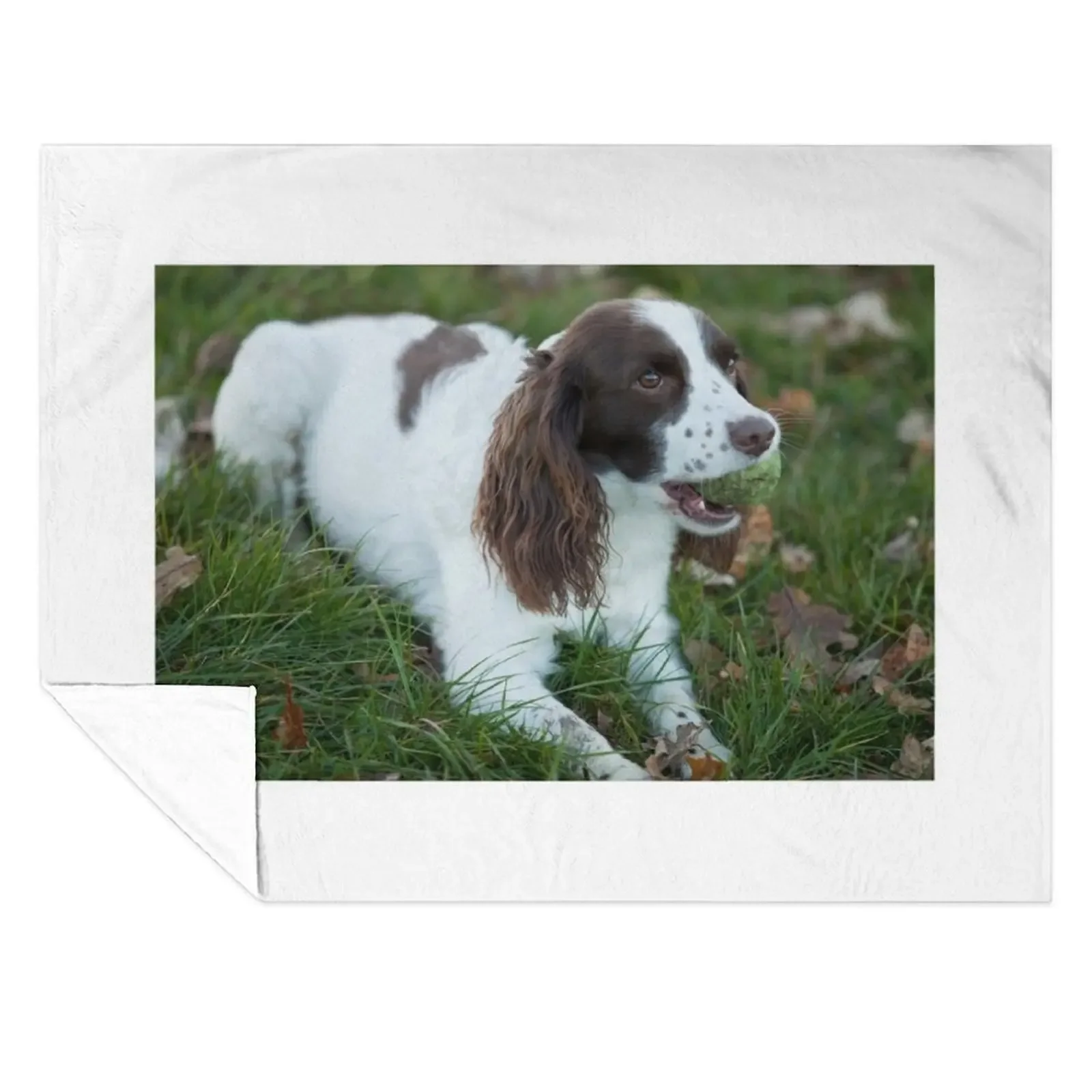 

Springer Spaniel 11 Throw Blanket Blankets For Sofas Vintage christmas gifts Soft Big Blankets