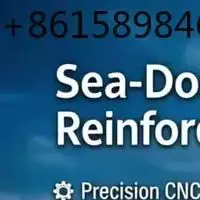 For Sea-Doo Carbon Seal Reinforcement Clamp – Fits 2019-2023 RXP-X, RXT-X, GTR, & 2021-2023 RXP-X 300