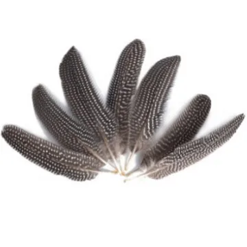 10 قطعة/المزيد من عرض الحفلة الراقصة المنصة زخارف للحانات ريشة النار قطعة ريشة وشاح كرنفال الهالوين #2